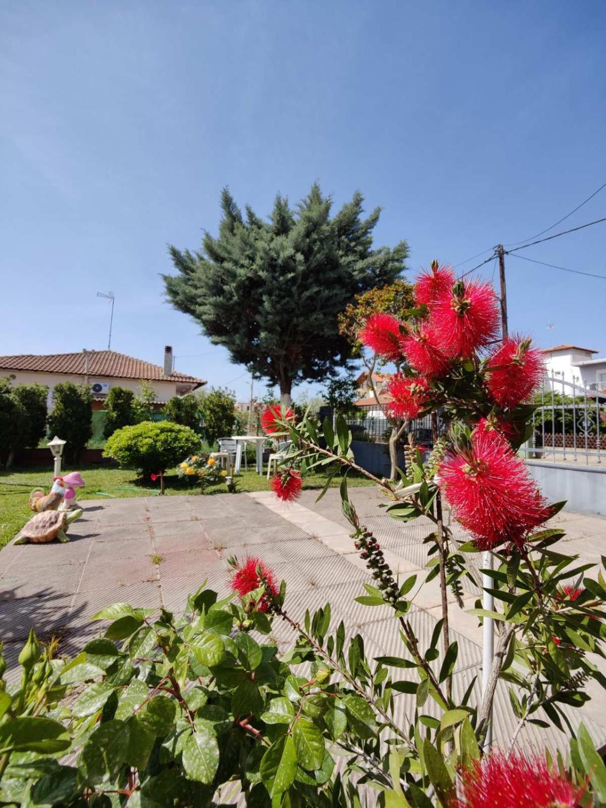 Vintage Lux Homes Vrasná Dış mekan fotoğraf